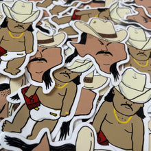 Load image into Gallery viewer, Texas Bandito sticker
